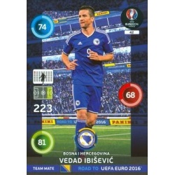Vedad Ibišević Bosnia Hercegovina 42