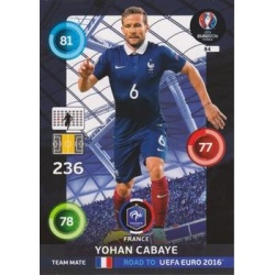 Yohan Cabaye Francia 84