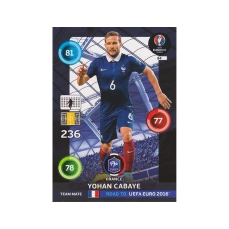 Yohan Cabaye Francia 84