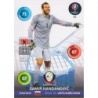 Sale Trading Cards Samir Handanović Slovenija Panini Adrenalyn XL Road Euro 2016