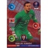 Cromos de Fútbol Danijel Subašić Goal Stopper Panini Adrenalyn XL Road Euro 2016