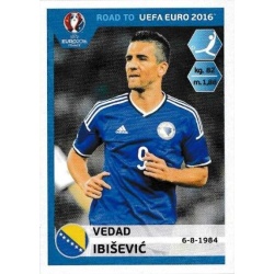 Vedad Ibisevic Bosna i Hercegovina 31