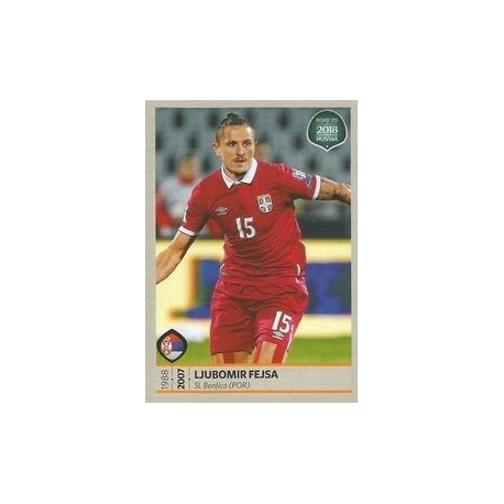 Ljubomir Fejsa Serbia 199
