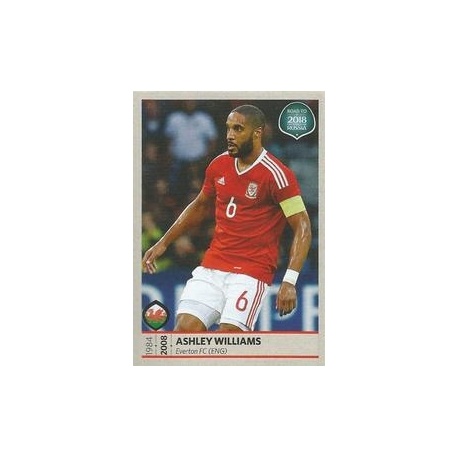Ashley Williams Gales 258