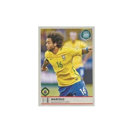 Marcelo Brasil 310