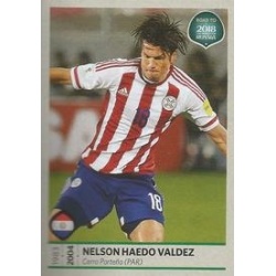 Nelson Haedo Valdez Paraguay 382