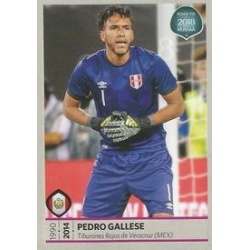 Pedro Gallese Peru 385