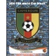 Badge Cameroun 89