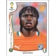 Gervinho Côte d'Ivoire 236