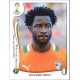 Wilfried Bony Côte d'Ivoire 238