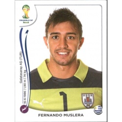 Fernando Muslera Uruguay 262