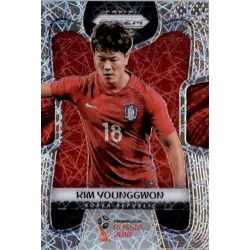 Kim Younggwon Prizm Lazer 195 Prizm World Cup 2018