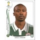 Shola Ameobi Nigeria 486