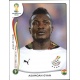 Asamoah Gyan Ghana 544