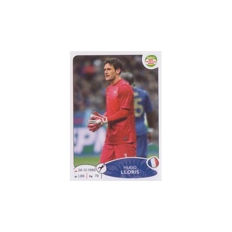 Hugo Lloris France 91