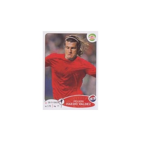 Raul Fernandez Perú 213