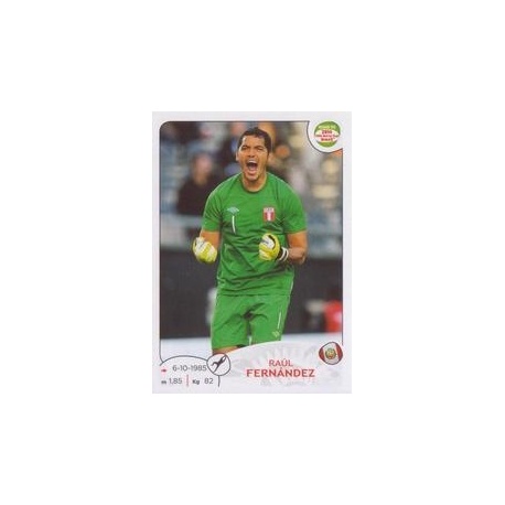 Raul Fernandez Peru 215