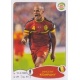 Vincent Kompany Belgium 259