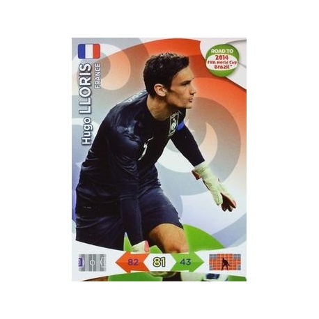 Hugo Lloris France 88
