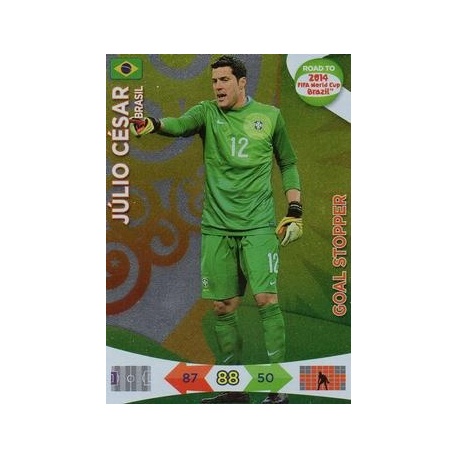 Julio Cesar Goal Stopper Brazil 207
