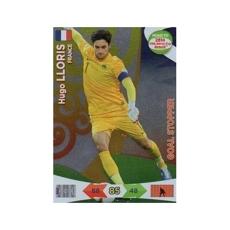 Hugo Lloris Goal Stopper France 212