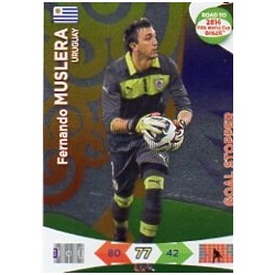 Fernando Muslera Goal Stopper Uruguay 220