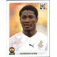 Asamoah Gyan Ghana 331