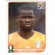 Emmanuel Eboue Ivory Coast 528