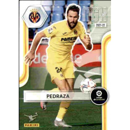Pedraza Villarreal 351