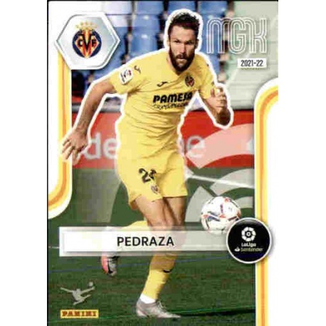 Pedraza Villarreal 351