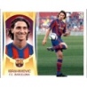 Buy Sticker Ibrahimovic Doble Imagen Cromos Liga Este 09-10