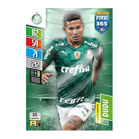 Dudu Palmeiras 25