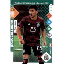 Jesús Gallardo Mexico 230