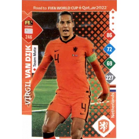 Virgil van Dijk Netherlands 246