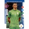 Sale Trading Cards Fernado Muslera Uruguay Panini Adrenalyn XL Road To Fifa World Cup Qatar 2022