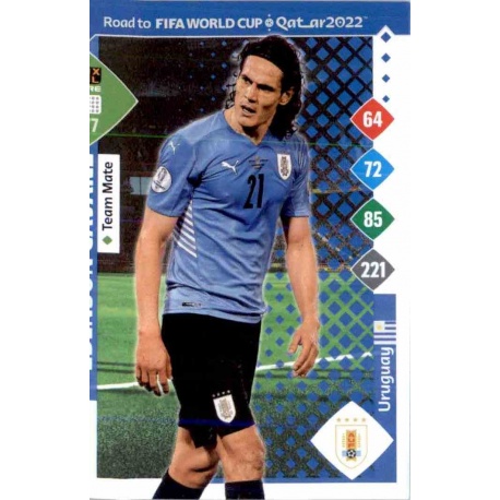 Edinson Cavani Uruguay 377