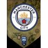 Emblem Manchester City 10 FIFA 365 Adrenalyn XL