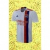 Comprar Cromo Team Uniform Olympique Lyonnais Panini Fifa 365 Album 2022