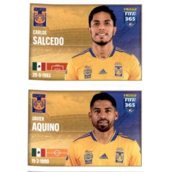 Salcedo - Aquino Tigres UANL 292