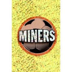 Miners Shakhtar Donetsk 333