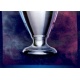 UEFA Champions League Trophy 1/2 3