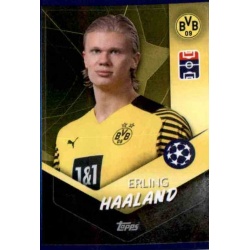 Erling Haaland Borussia Dortmund 246