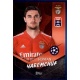 Roman Yaremchuk SL Benfica 406
