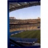 Buy Sticker NSC Olimpiiskyi 1/2 FC Dynamo Kyiv Topps Champions League 2021/22 Stickers