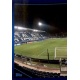 Stadio di Bergamo 1/2 Atalanta BC 463
