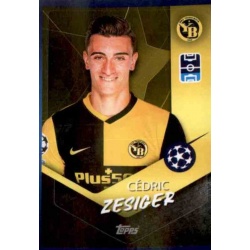 Cédric Zesiger BSC Young Boys 487