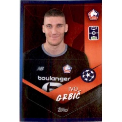 Ivo Grbić LOSC Lille 502
