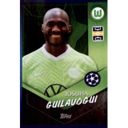 Josuha Guilavogui VfL Wolfsburg 562
