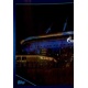 Gazprom Arena 1/2 FC Zenit 607