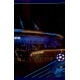 Gazprom Arena 2/2 FC Zenit 608